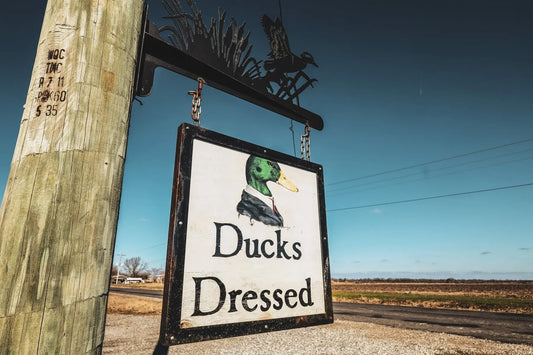 Picked and Plucked: A Tribute to Mr. EJ Mr. Skip and the Picking Shack That Feels Like Home