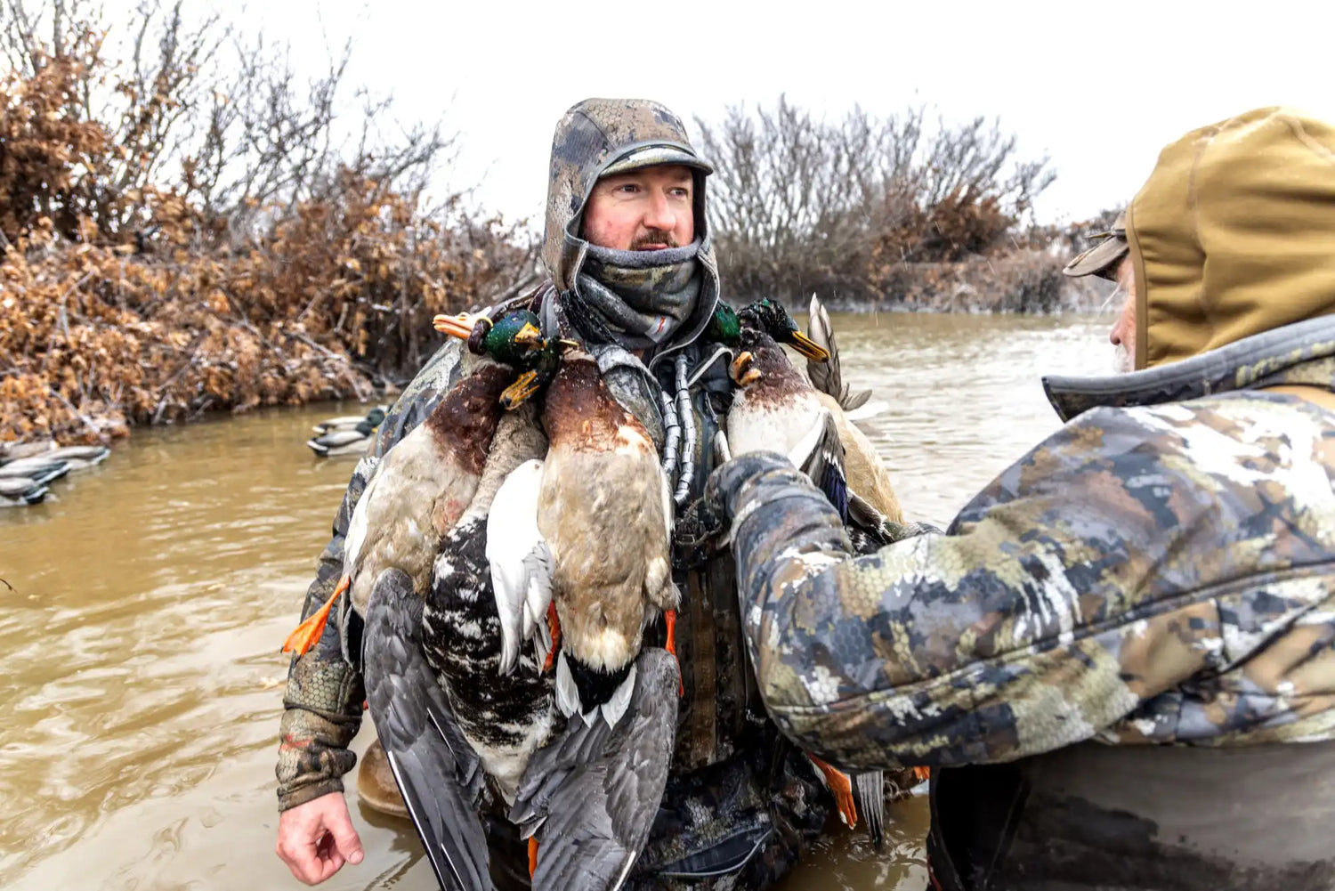 A hunter in camouflage waders carrying multiple harvested ducks.
