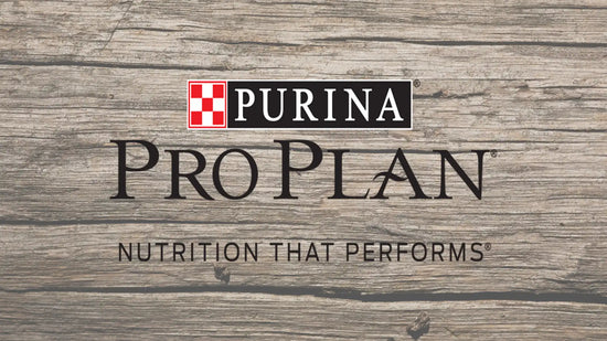 Purina Pro Plan pet food logo.